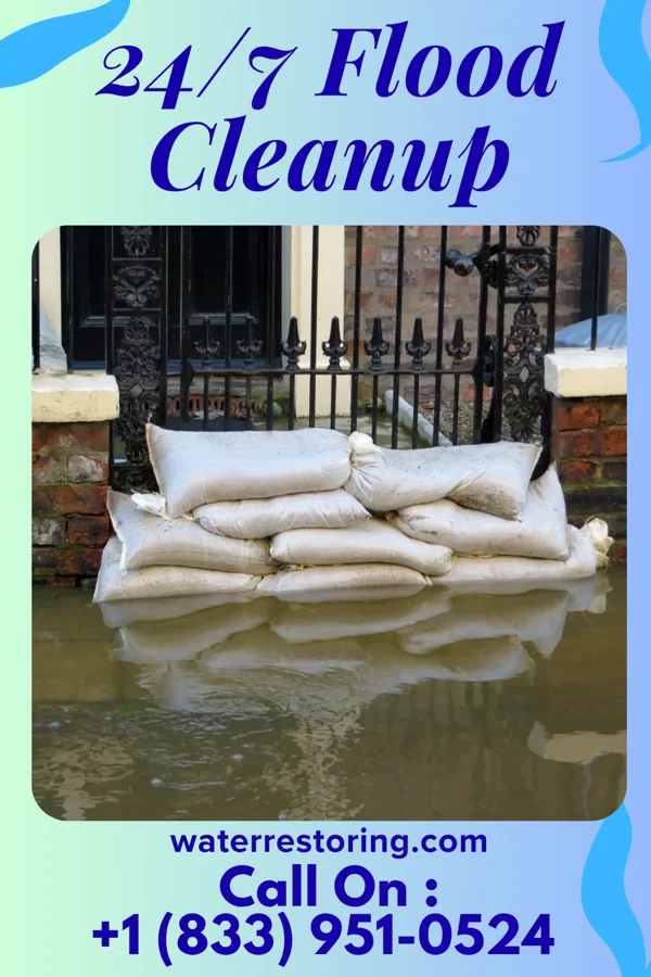 24/7 Flood Cleanup in Lenzburg, IL