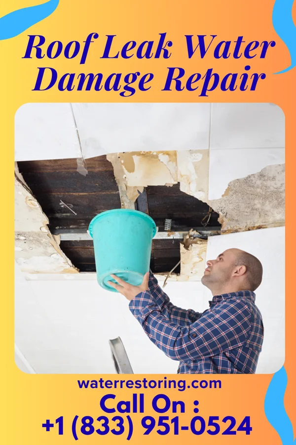 Roof Leak Water Damage Repair in Lenzburg, IL
